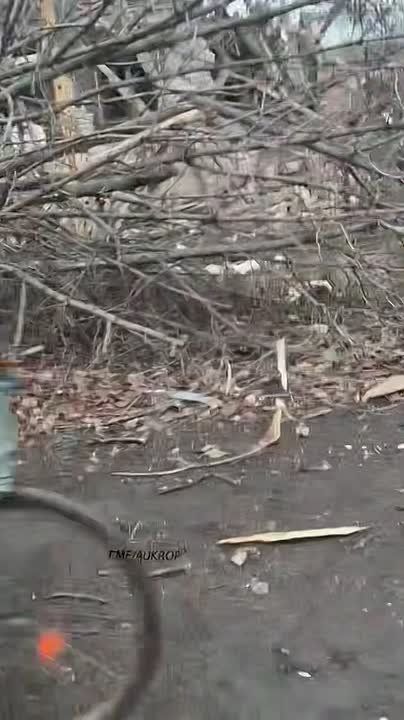 Долгожданное освобождение. российские войска эвакуируют мирных жителей Мирнограда