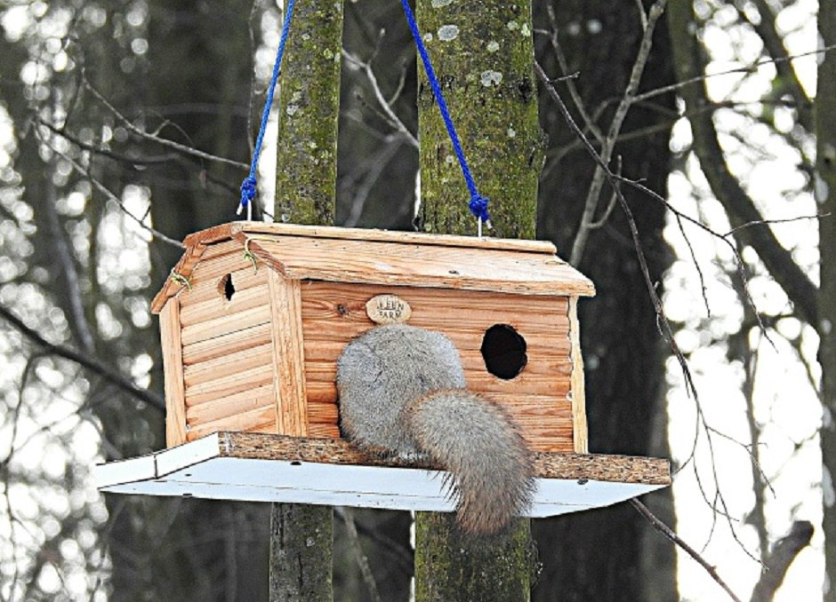 Под Тверью столкнулись три машины, одна опрокинулась в кювет Под Тверью столкнулись три машины, одна опрокинулась в кювет