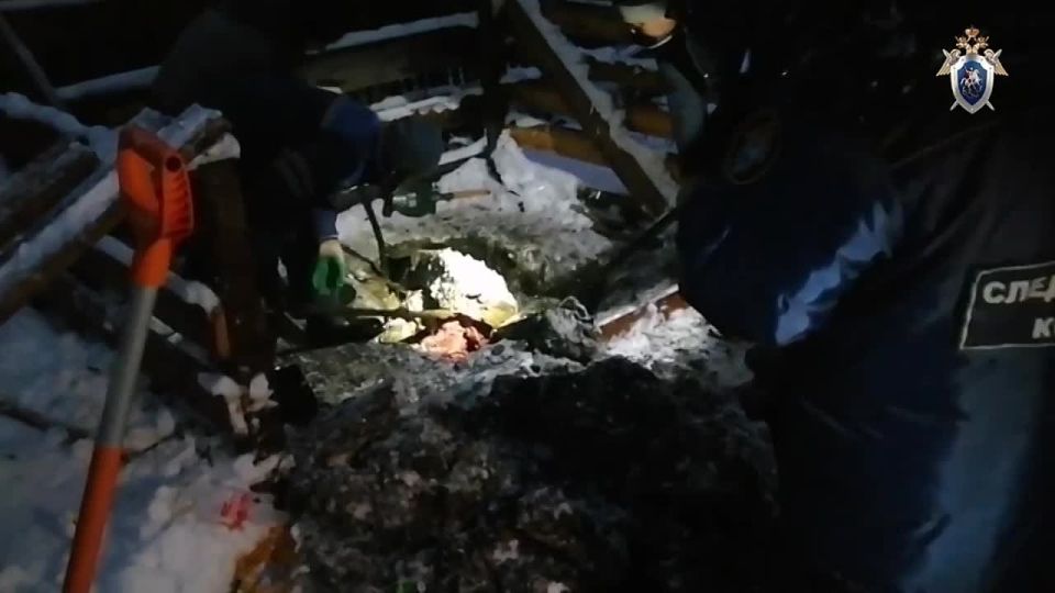 Кадры раскопок на участке "Богородского маньяка", в результате которых были обнаружены тела двух убитых им девушек, опубликовал СК