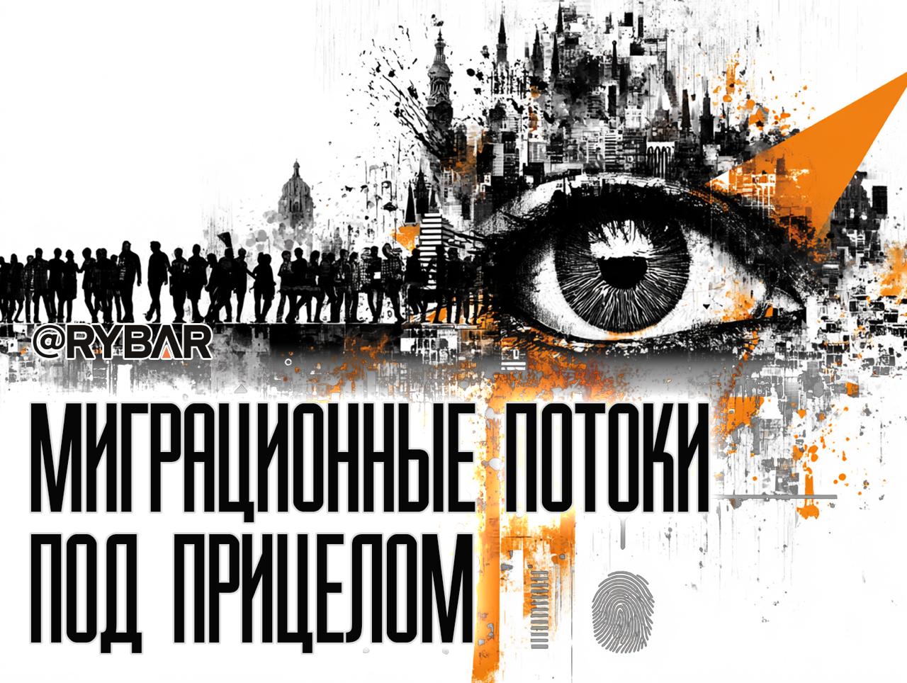 Усиление контроля. Итоги миграционной политики в России за 2025 год — часть 2