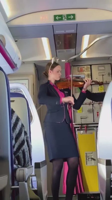 ������ ���������: ���������� ����������