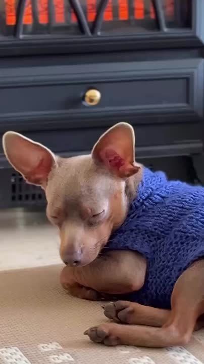 ��������� ����������: � ������, ���������� ����, ������, �������