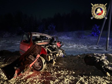 Три человека погибли, еще четыре, включая двух детей, пострадали в ДТП с двумя легковушками в Чувашии, сообщили в Госавтоинспекции по республике