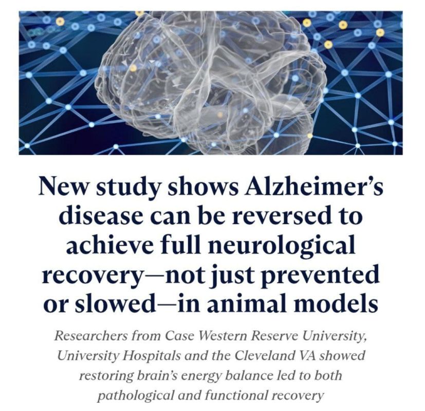 Андрей Клинцевич: Новый мир ИИ делает прорывы в медицине