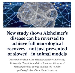 ������ ���������: ����� ��� �� ������ ������� � ��������