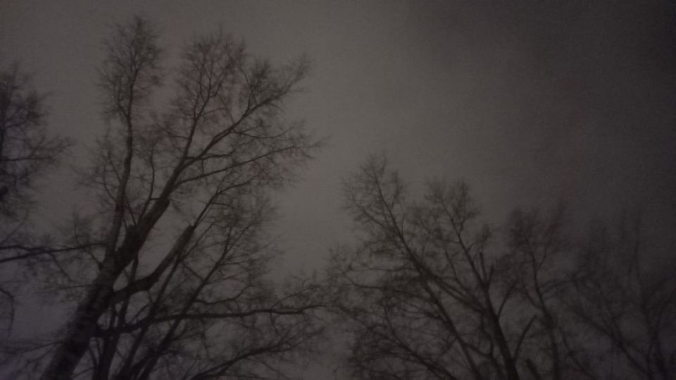 В Твери ведется ликвидация последствий падения обломков БПЛА на многоэтажный жилой дом