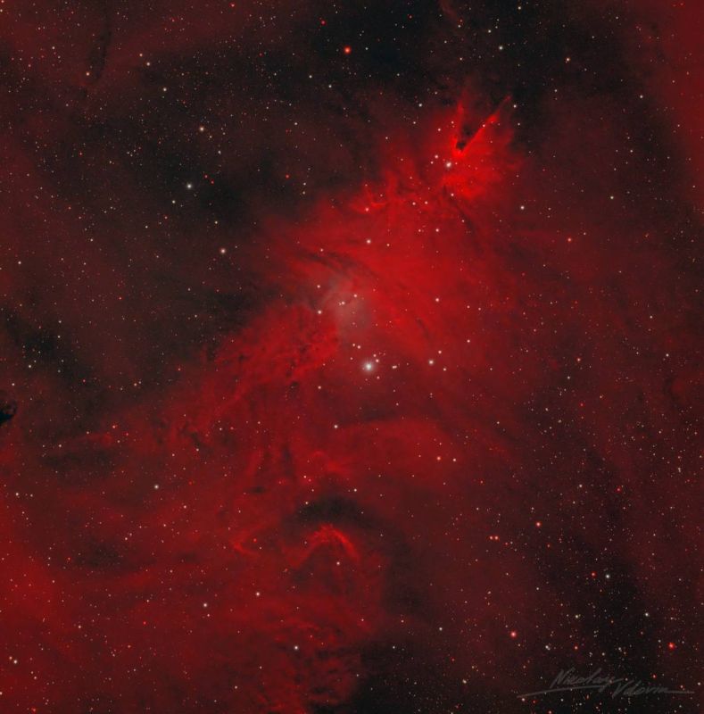 Роскосмос опубликовал фотографию туманности «Рождественская елка», расположенной в созвездии Единорога