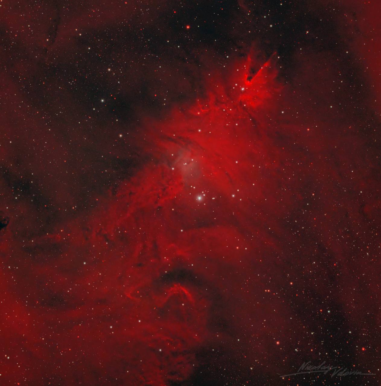 Роскосмос опубликовал фотографию туманности «Рождественская елка», расположенной в созвездии Единорога