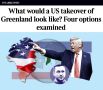 Четыре возможных варианта присоединения Гренландии к США описала британская газета The Times