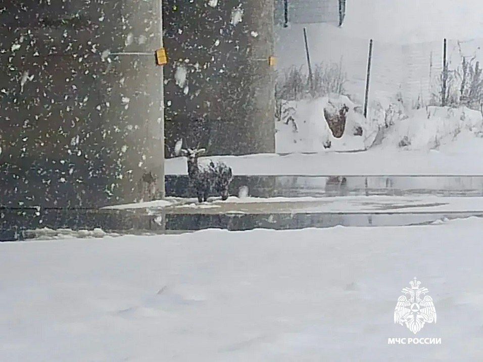 ��� ������ � ������ ������ ������