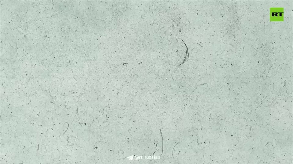 Был одним из лидеров движения за независимость Южной Америки, освобождал Аргентину, Чили и Перу от испанского владычества