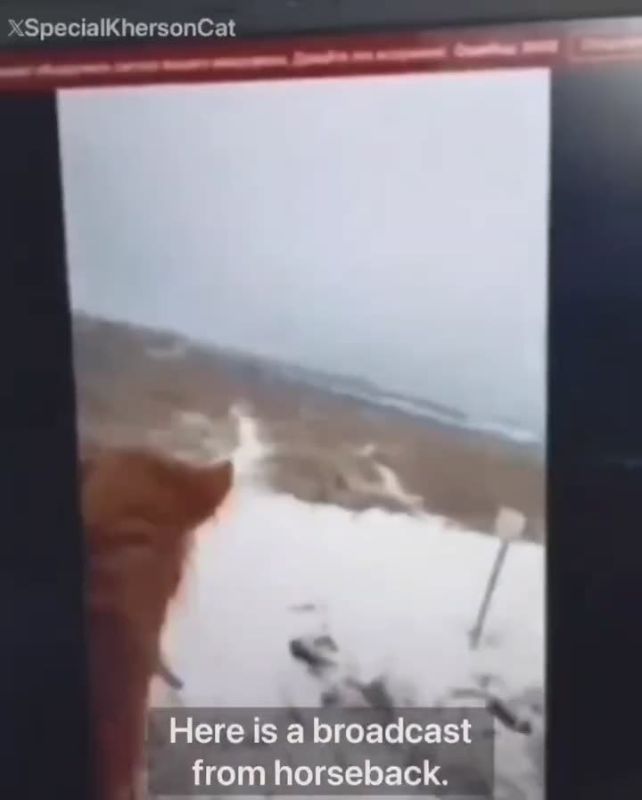 Андрей Клинцевич: Как тебе такое Илон Маск?. Уверен, что ни один военный эксперт мира не мог предположить, что в новой высокотехнологичной войне