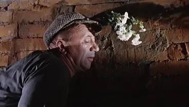 ����� ��������: ������ ����� � ����� ���.. ����� �������� ����������, �������� �������� ��� ���������� �������������� � ������� � 66 ������������� ������������. � �� ����� 31 ��������� ����������� ������������ �����