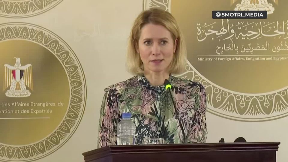 Международное право является единственной защитой для малых стран — Кая Каллас о европейской "защите" Гренландии