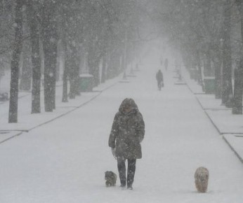 ���������� � ������� ����� �� 18 �/� ��������� ������� � ������, ������������� ��������