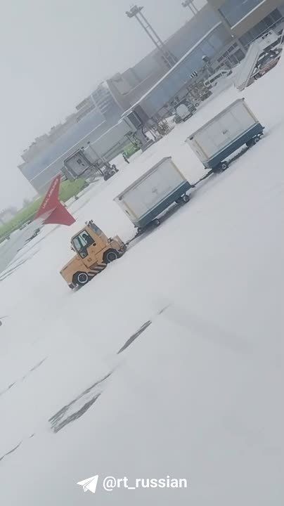 Буксир с багажом не может проехать по заснеженной территории аэропорта Домодедово