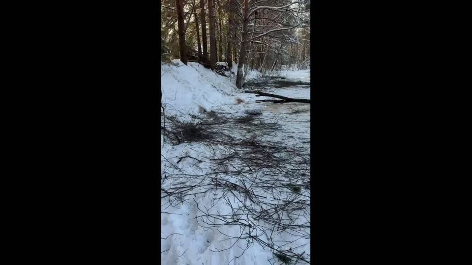 Круто и бесплатно: в деревне под Тверью жители превратили заброшку в каток с горкой