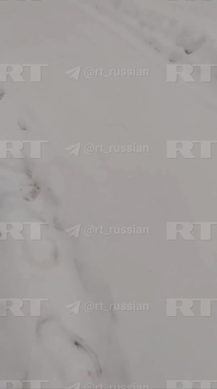 «По такому снегу я не проеду»