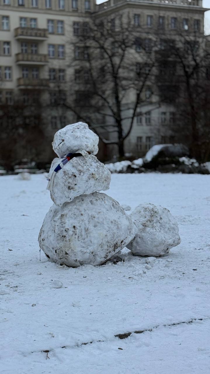 Александр Сосновский: Вот такая жизнь простого, берлинского снеговика