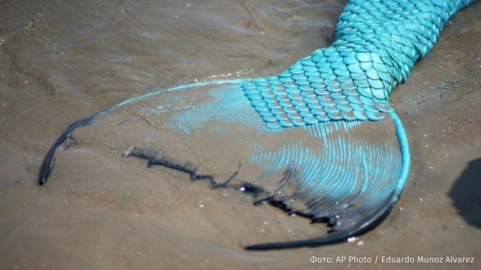 Голая американка решила превратиться в русалку у соседа в пруду — её арестовали