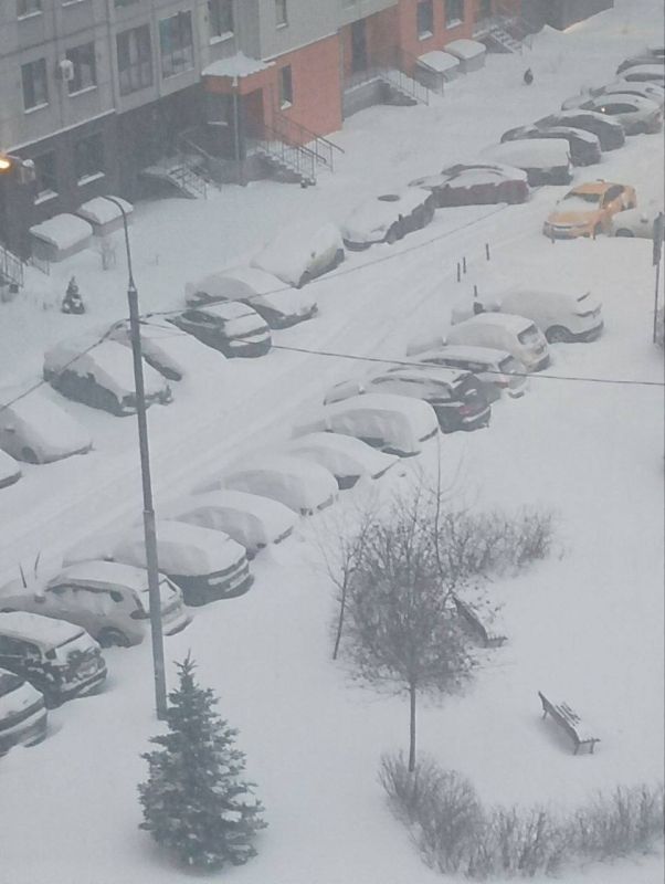 В Москве выпало уже около половины месячной нормы осадков, рассказал RT синоптик Александр Ильин