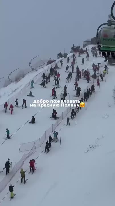 Армен Гаспарян: Новогодний Сочи — снова мимо