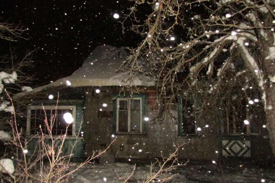 В Тверской области пожар в доме унёс жизнь мужчины