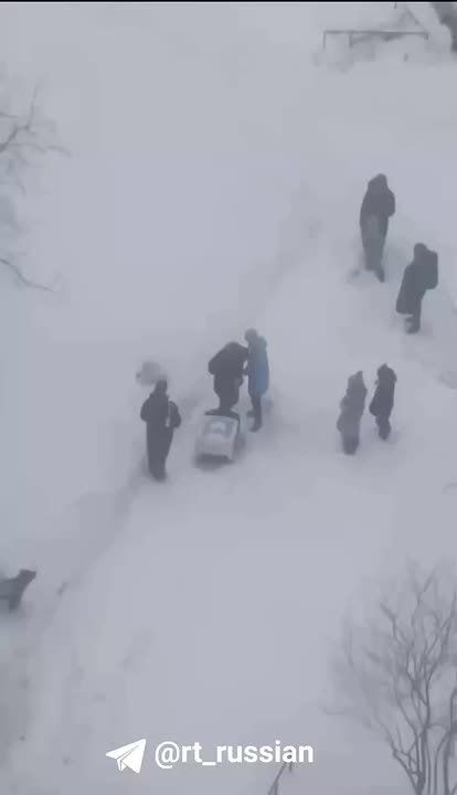 Роботы-доставщики застревают на дорогах в Петербурге из-за непрекращающегося снегопада