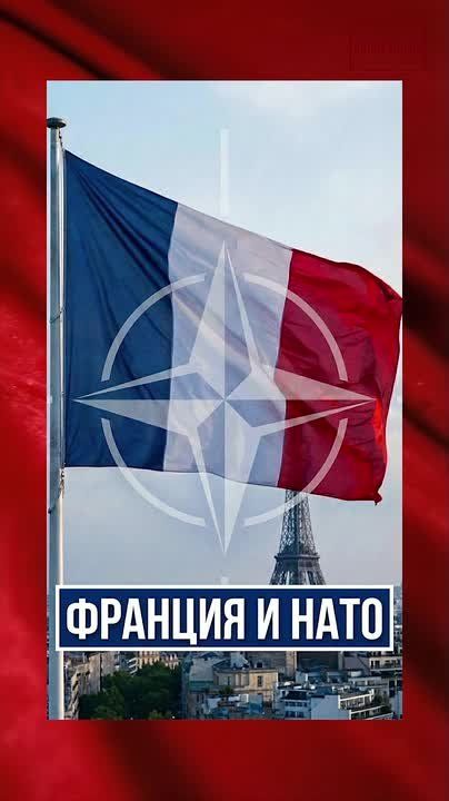 Аббас Джума: #Аббас_Джума. Во Франции подняли вопрос о выходе из НАТО «Как никогда прежде, поднимается вопрос об участии Франции в Организации Североатлантического договора, военном альянсе, возглавляемом и служащем...