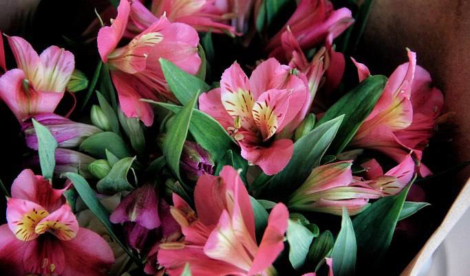 Виталий Королев поздравил со 103-летием ветерана Великой Отечественной войны Татьяну Михайловну Трофимову