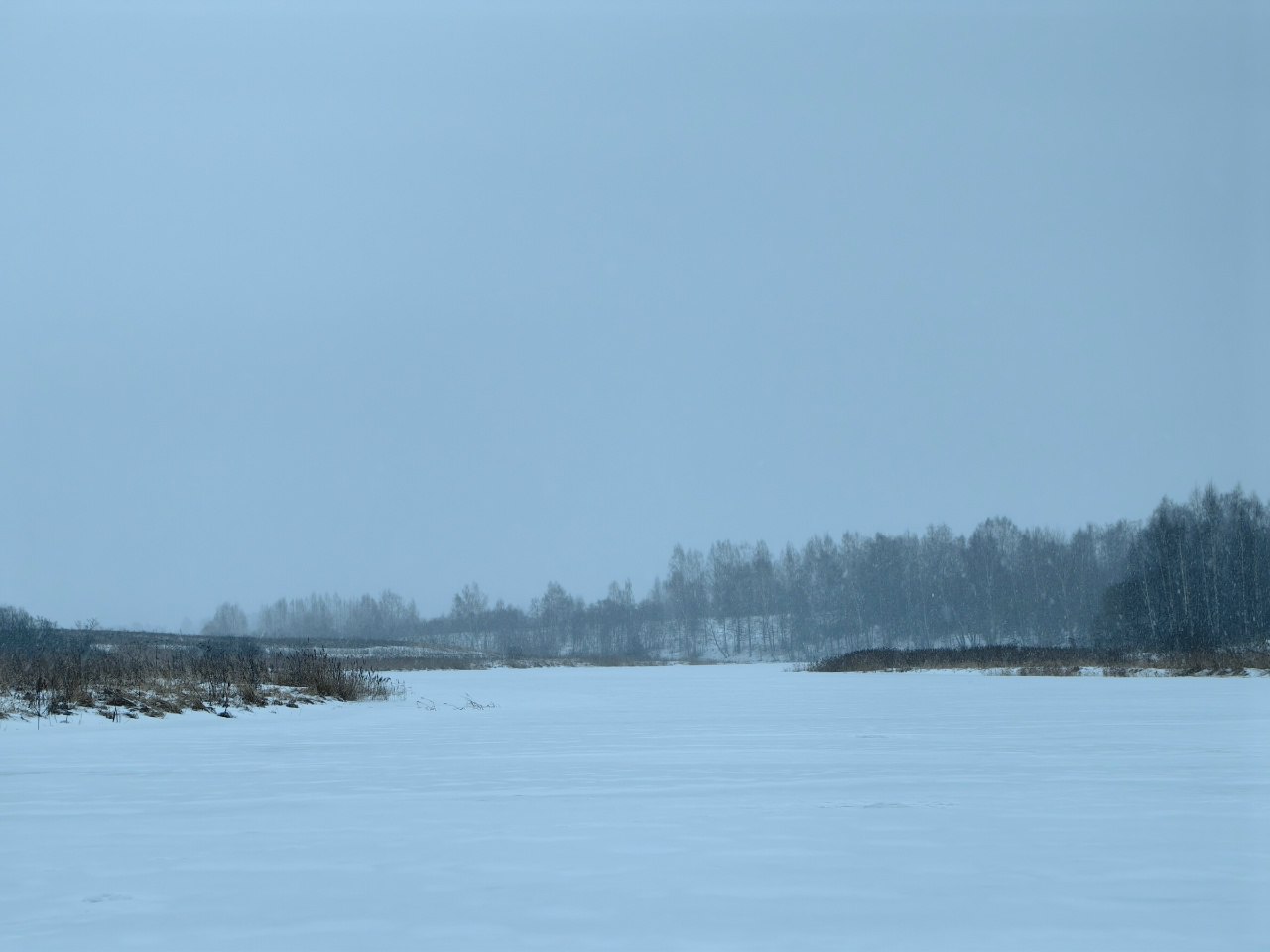 Ещё больше снега и морозы до -20: синоптики уточнили прогноз на неделю в Тверской области