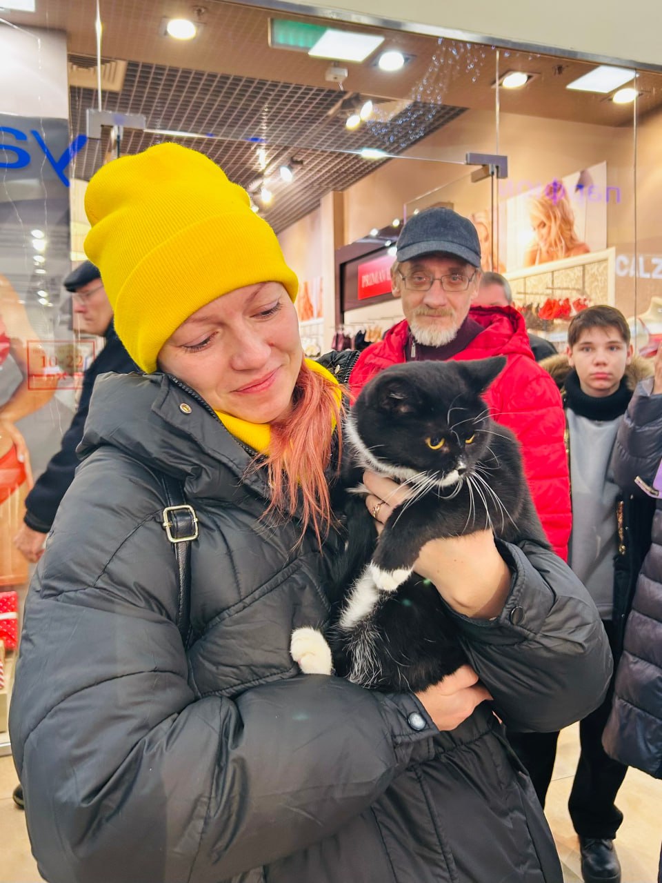 Рождественское чудо: в Твери сразу 10 кошек нашли дом на выставке друзей кота Суворова