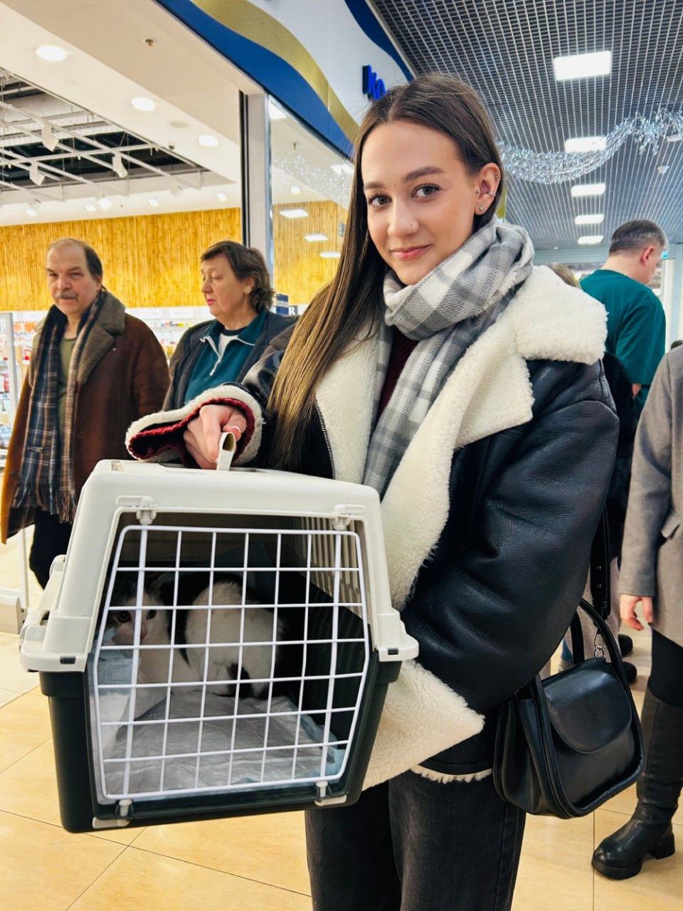 Рождественское чудо: в Твери сразу 10 кошек нашли дом на выставке друзей кота Суворова Рождественское чудо: в Твери сразу 10 кошек нашли дом на выставке друзей кота Суворова