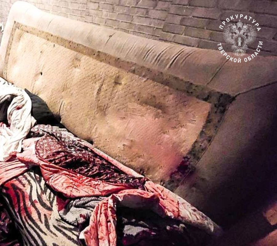 Жительница Удомли осуждена за убийство