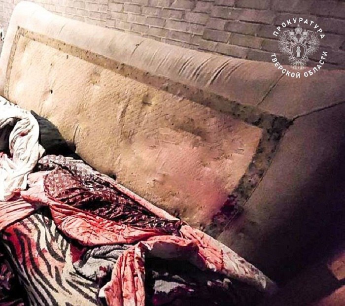 Жительница Удомли получила тюремный срок за убийство Жительница Удомли получила тюремный срок за убийство