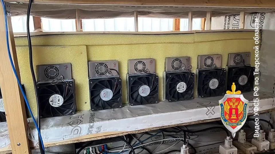 В Тверской области силовики "накрыли" крупную майнинговую ферму