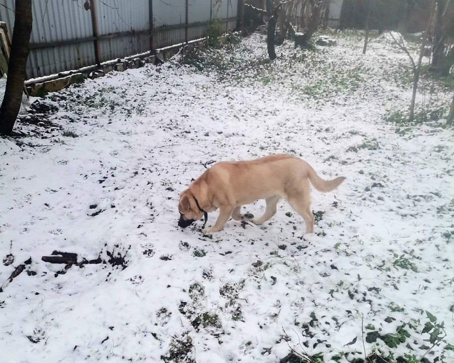 ������� ���������, ��� ������� ������ �����