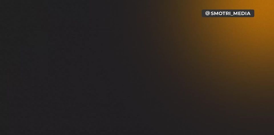 Как только будут согласованы даты, может состояться визит Уиткоффа и Кушнера — Песков