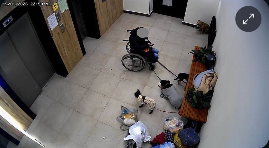 Жители дома в Твери приютили собак и кошек, оставленных в подъезде