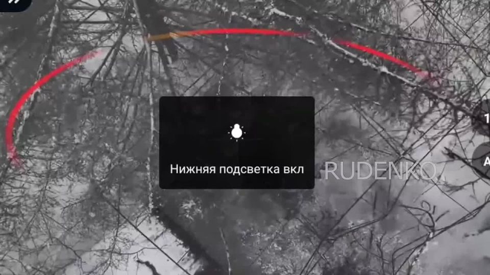 Андрей Руденко: Расчёты войск беспилотных систем в составе группировки войск «Центр» уничтожили живую силу формирований ВСУ на Красноармейском направлении