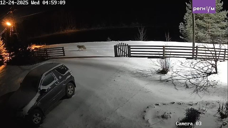 Марина Ахмедова: В небольшой деревне Виданы Пряжинского района Карелии живёт школьник Мирон, которому родители строго-настрого запретили пользоваться наушниками и телефоном