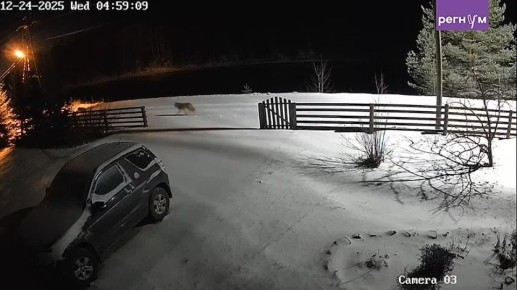 ������ ��������: � ��������� ������� ������ ����������� ������ ������� ���� �������� �����, �������� �������� ������-�������� ��������� ������������ ���������� � ���������