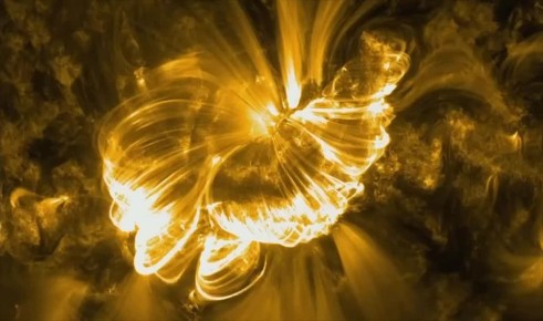 ����� �� ������� ������� ������� ��������� ����