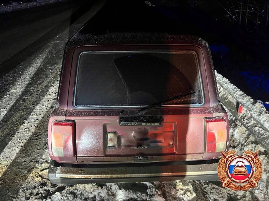 Водитель и пассажир пострадали, сбив лося в Старицком округе