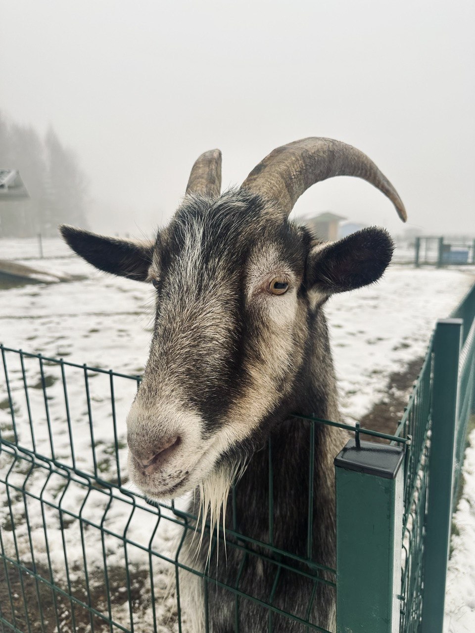 Аналитики МТС назвали самые популярные направления Тверской области у туристов на новогодних каникулах