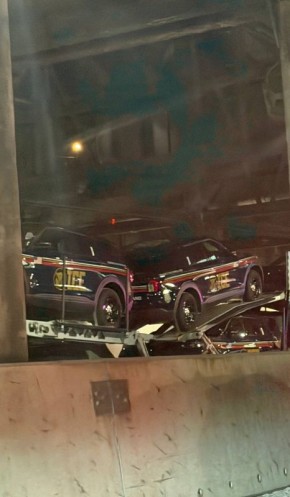 �������� ��������: �������������� � ���������� ������� ��� (ICE) ���������� ����������� � ������������ � ���� �� ���������� ������������ ���������