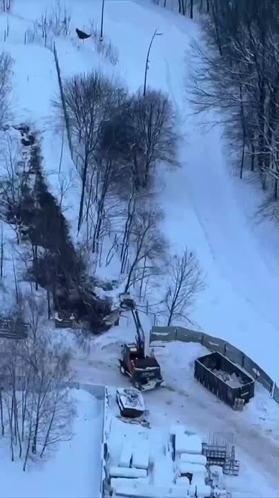 Евгений Попов: Варварские действия подрядчика в ходе благоустройства Холмов в Крылатском