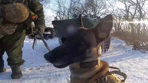 ������ �������: � ���� ���������� ����� �������������� 45-� ��������� ����������� ���������� ������� � 92-�� ���������� �������� ����� ����������� ������ ���������� ��������� ������ ������ �� ���� �������� ����� ����...