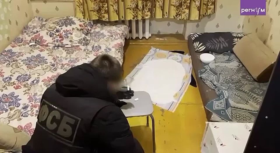 Марина Ахмедова: Уроженцы одной из стран Центральной Азии купили автоматы и компоненты для бомбы, чтобы напасть на полицейский участок — но не успели собрать