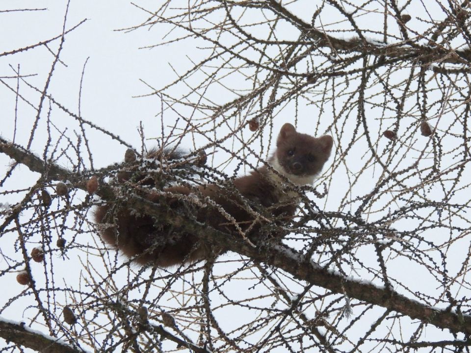 ��� �������� ��������� ������� �������� ��������� ������